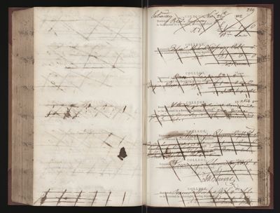 Page 229 (0 records)