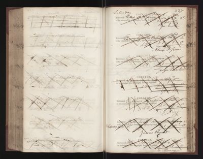 Page 237 (0 records)