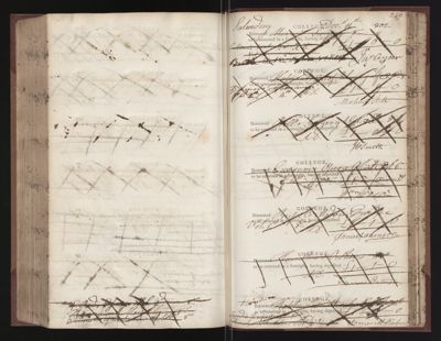 Page 247 (0 records)