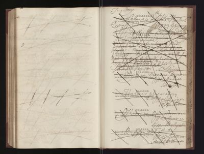 Page 250 (0 records)