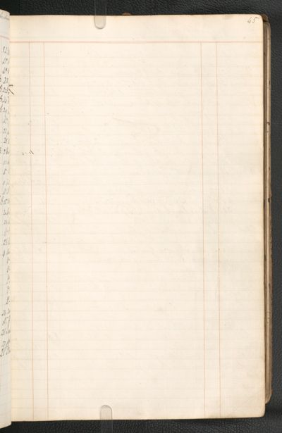 Page 45 (1 record)