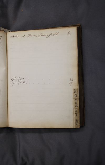 Page 17 (1 record)