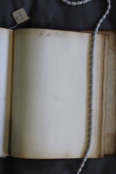 Page 229 (0 records)